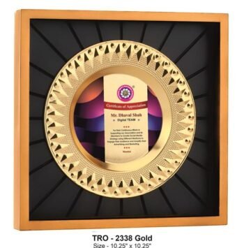 Radiance In Recognition Gold – Award for...