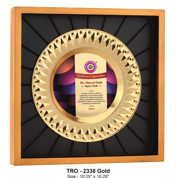 Radiance In Recognition Gold – Award for Innovation & Excellence