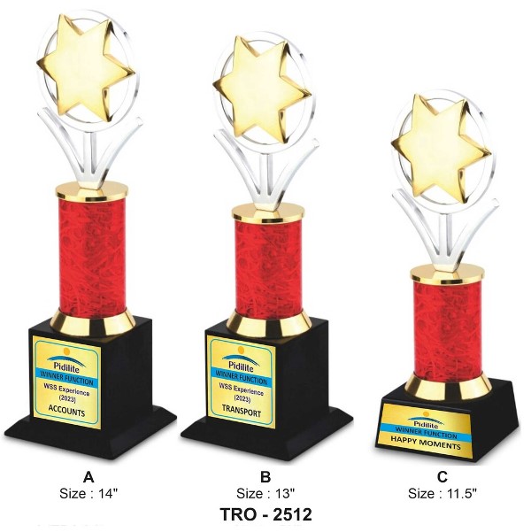 Ring with Star Trophy