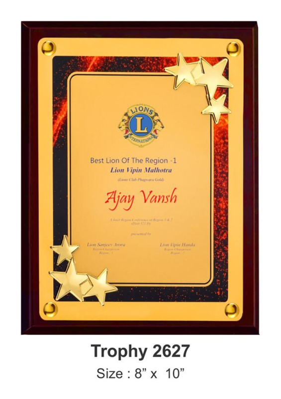 Rising Stars Recognition Plaque – High-Impact Corporate & Academic Award