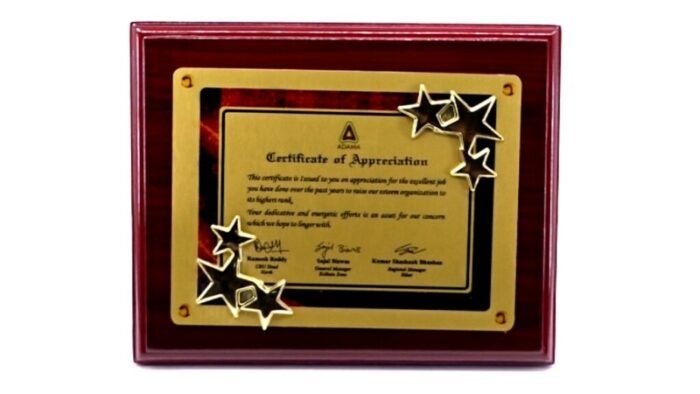 Rising Stars Recognition Plaque – High-Impact Corporate & Academic Award