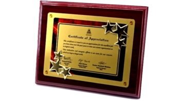 Rising Stars Recognition Plaque – High-Impact Corporate...