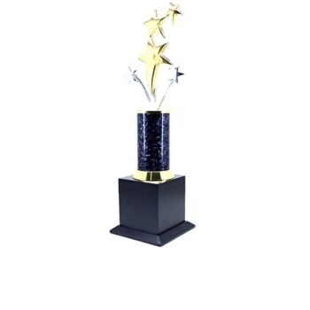 Rising Stars Trophy – Celebrating Momentum and...