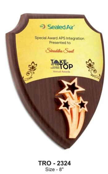 Shield Plaque – Distinctive Recognition for Creativity...