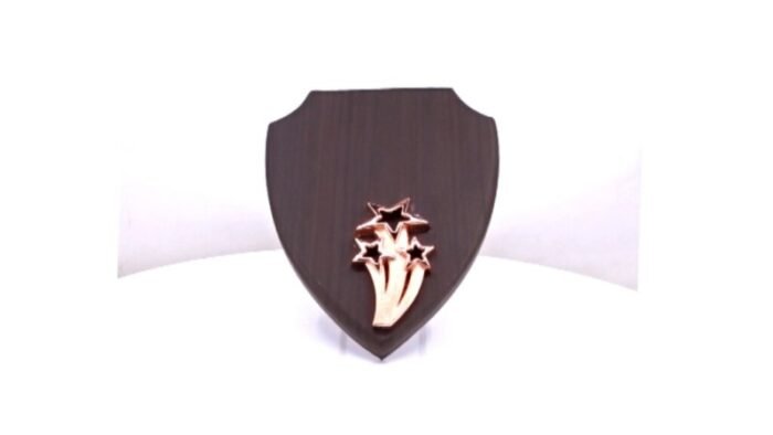 Shield Plaque – Distinctive Recognition for Creativity & Excellenc