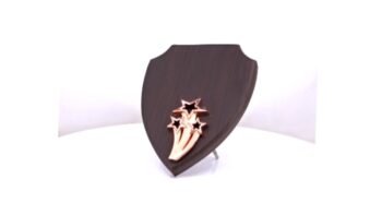 Shield Plaque – Distinctive Recognition for Creativity...
