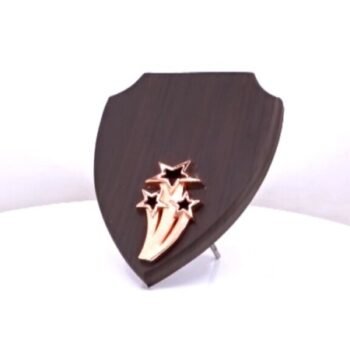 Shield Plaque – Distinctive Recognition for Creativity...