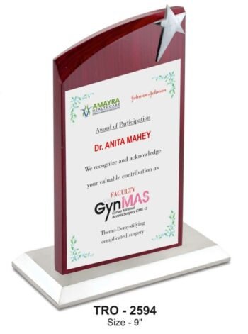 Silver Star Wooden Plaque – Elegant Recognition...