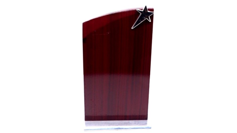Silver Star Wooden Plaque – Elegant Recognition for Professionals & Educators