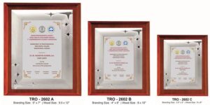 Silver Tribute for Guest Speakers – Distinguished Academic & Event Appreciation Plaque