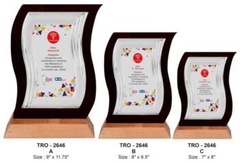 Silver Wave Achievement Trophy – Modern Corporate...