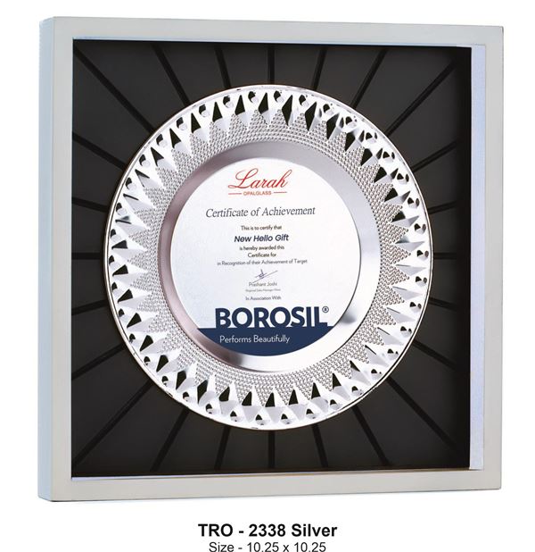 Sleek and Sophisticated Tribute Silver – Recognition for Team & Leadership Excellence