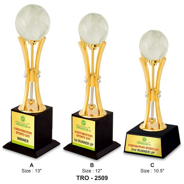 Sports Globe Trophy