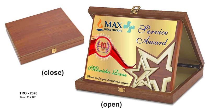 Star Cascade Folding Plaque – Premium 10-Year Employee Recognition Award