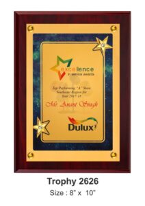 Star Performer Plaque with Gem Accents – Premium Retail & Performance Recognition Award
