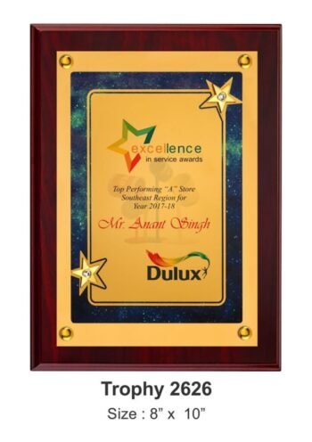Star Performer Plaque with Gem Accents –...