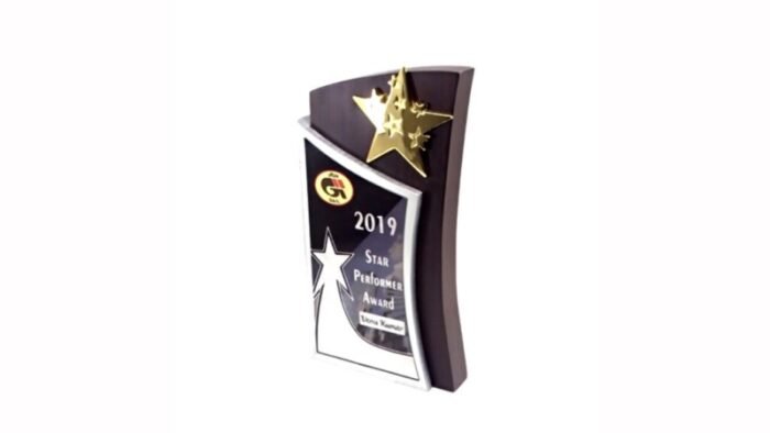 Star Performer Trophy with Dual Finish – Modern Achievement & Recognition Award