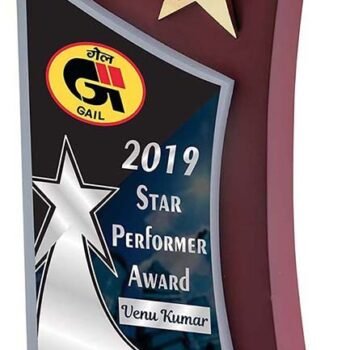 Star Performer Trophy with Dual Finish –...