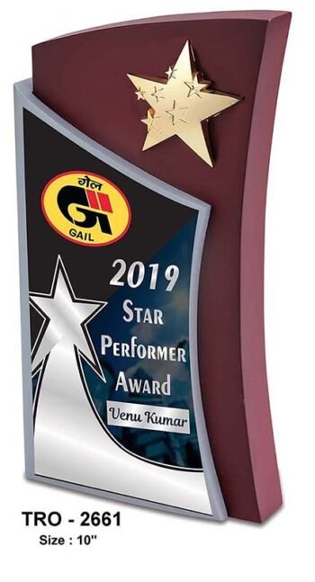 Star Performer Trophy with Dual Finish –...