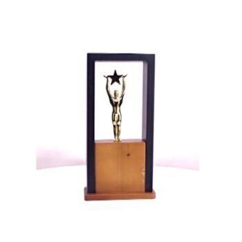 Star Reach Inside Frame – Unique Award...