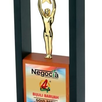 Star Reach Inside Frame – Unique Award...