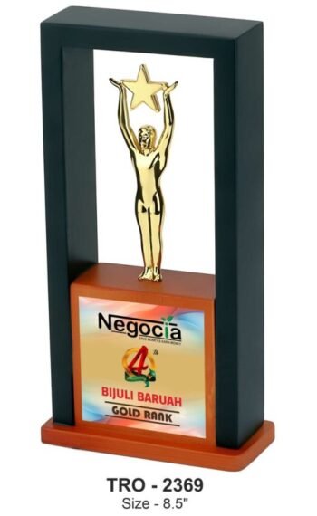 Star Reach Inside Frame – Unique Award...