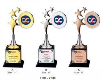 Star Ring of Recognition Trophy – Celebrate...