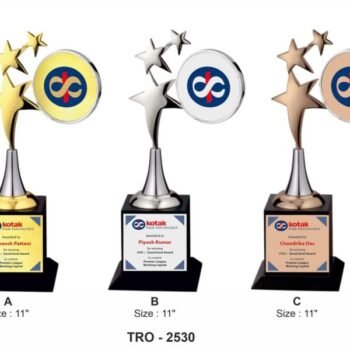 Star Ring of Recognition Trophy – Celebrate...