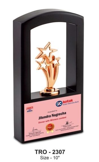 Star Stack Frame Trophy – Recognizing Team...