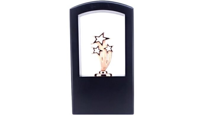 Star Stack Frame Trophy