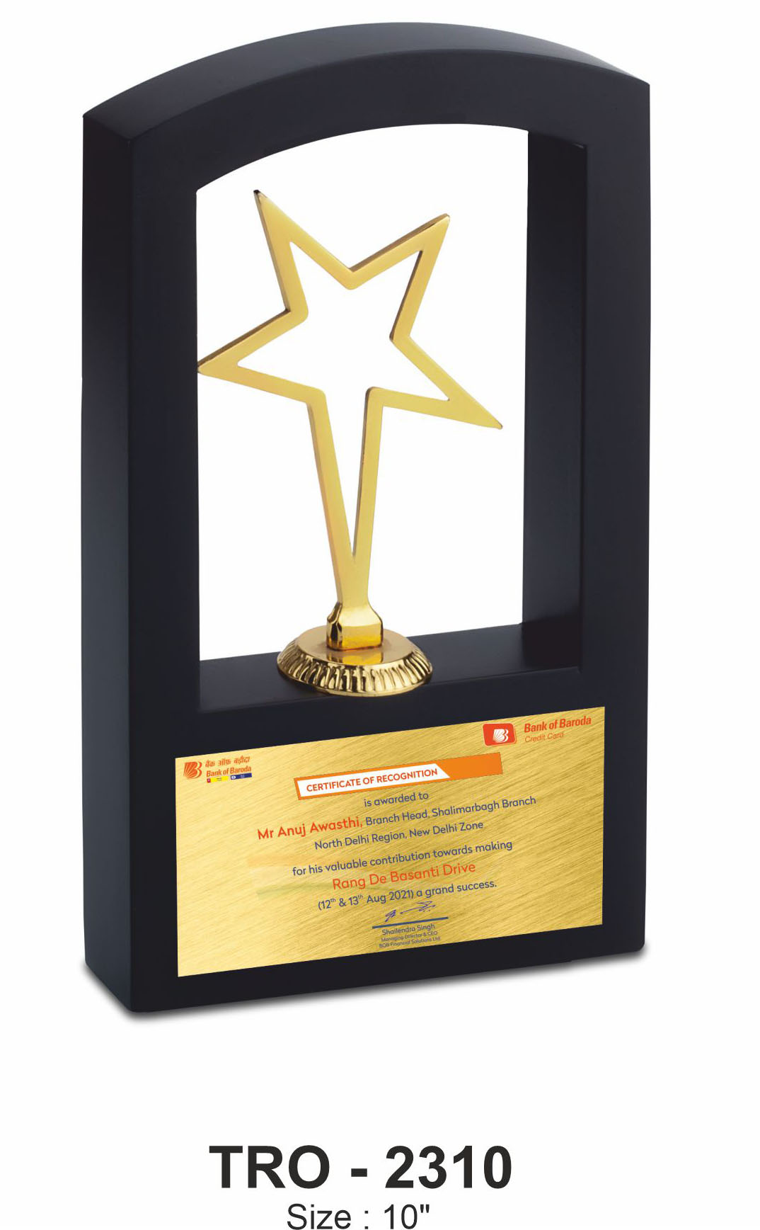 OUTLINE STAR FRAMED TROPHY