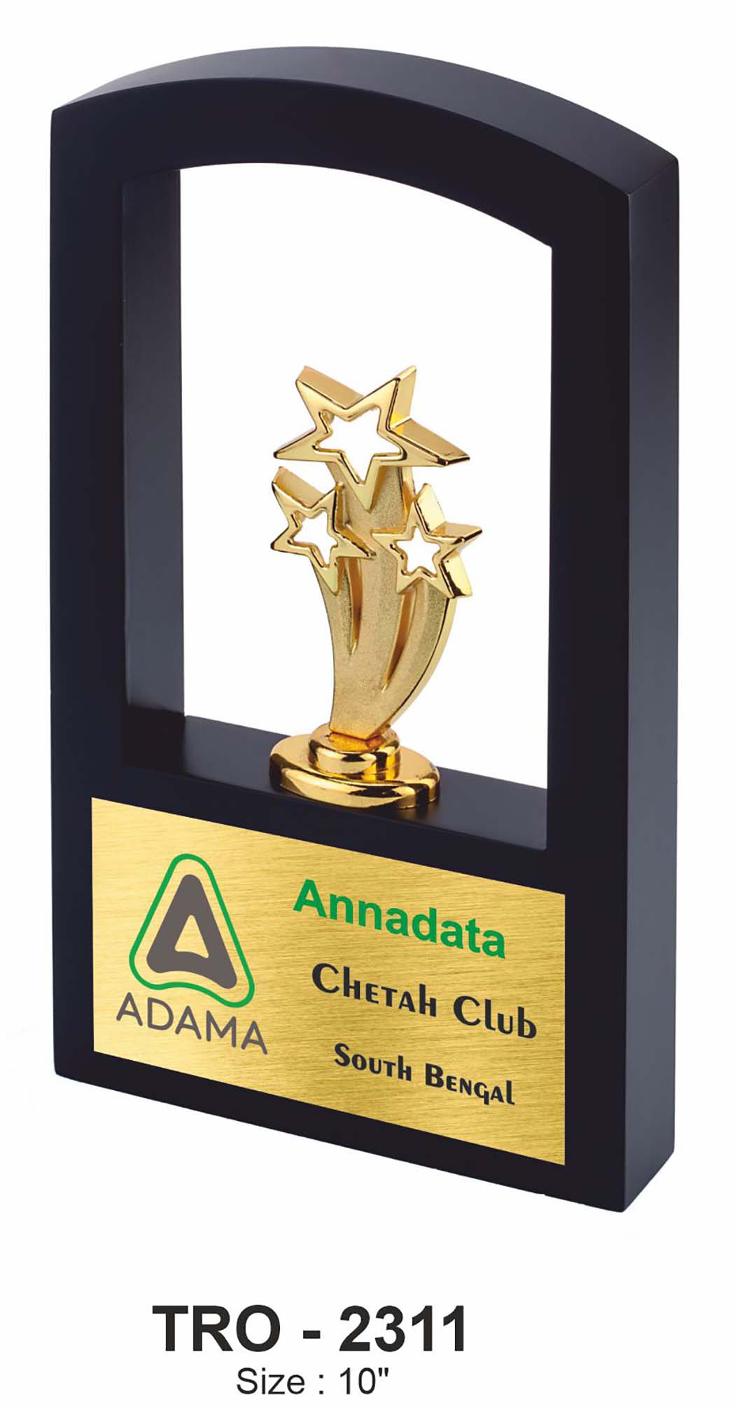 CLUSTERED STAR FRAME