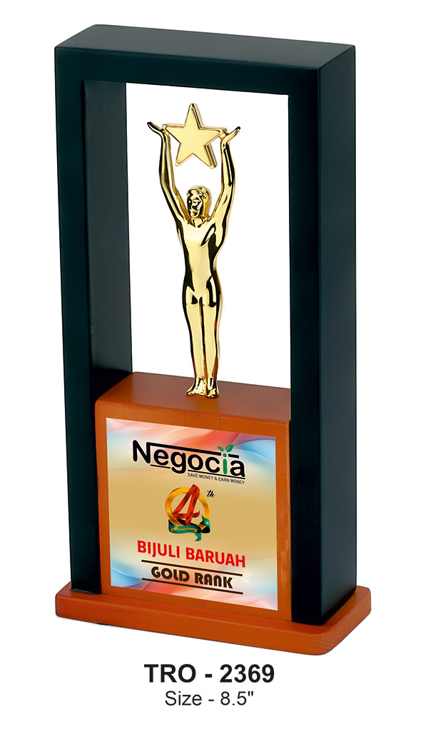 STAR REACH INSIDE FRAME