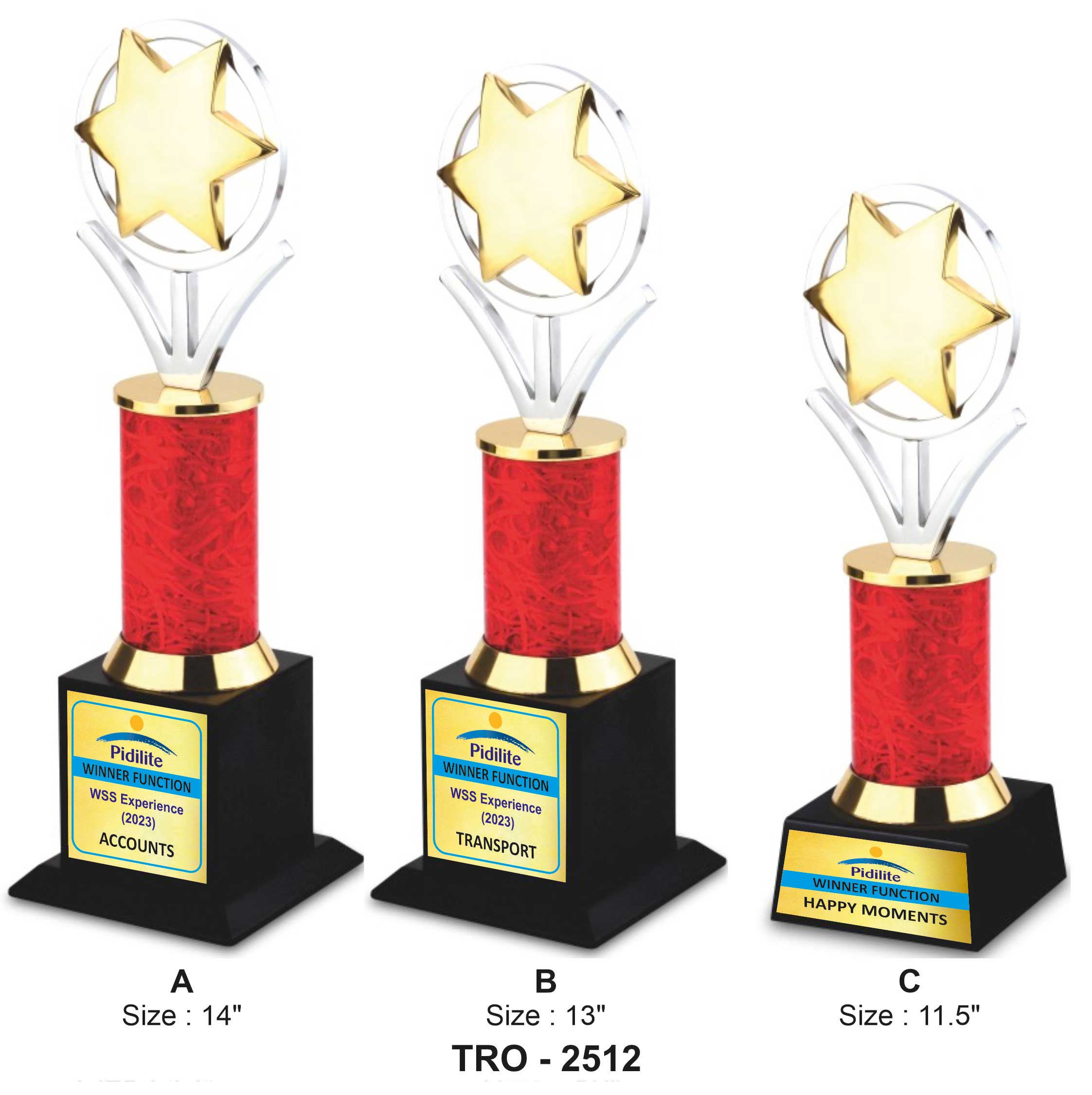 RING WITH STAR TROPHY