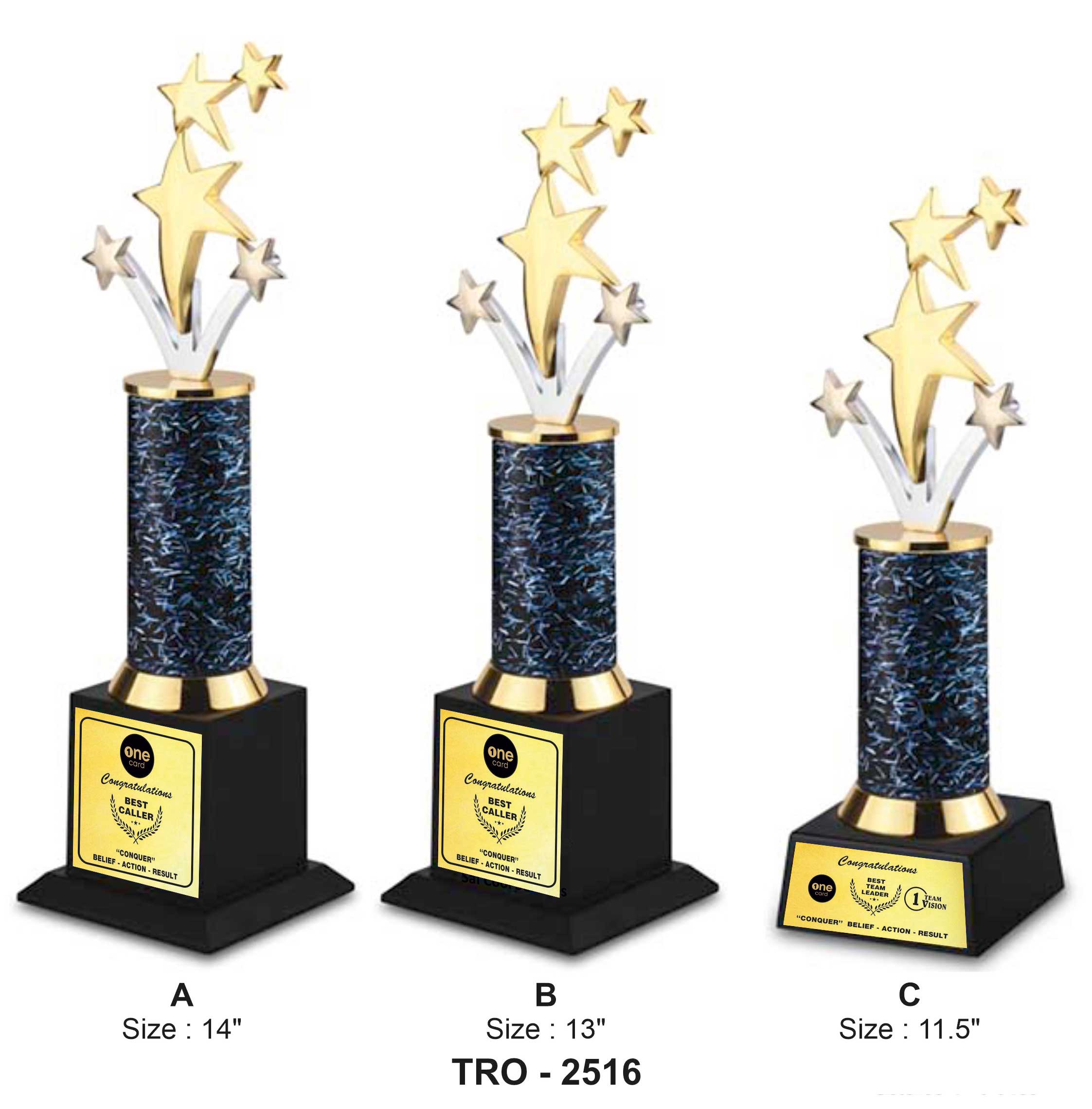 RISING STARS TROPHY