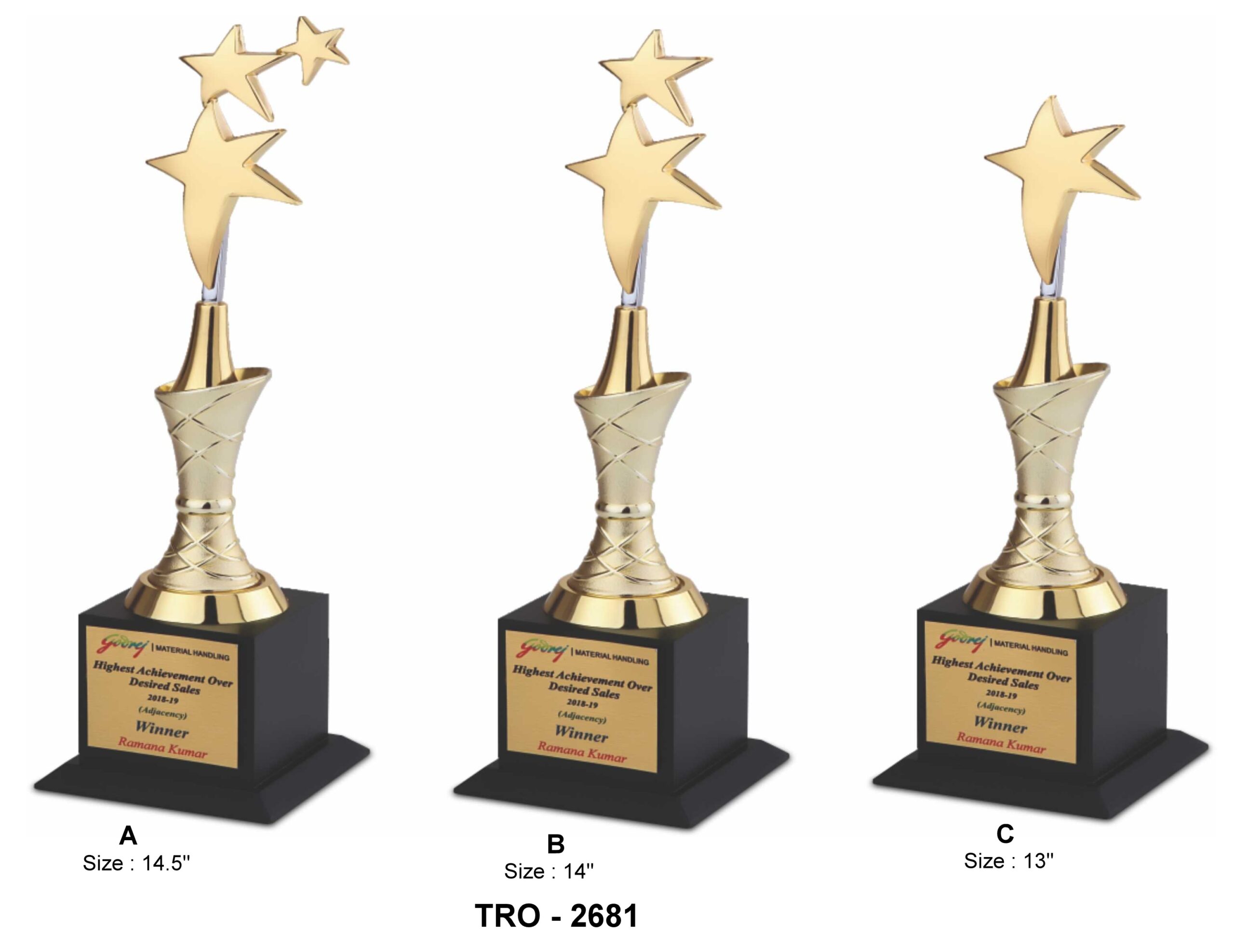 CORPORATE STAR TROPHY