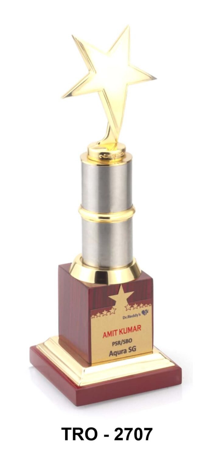 Metal Trophy Elegant Award