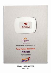 The YouTube Trophy Silver – Limited Edition Recognition Award