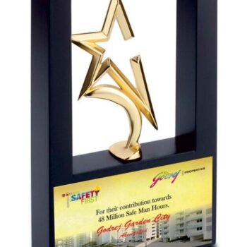 Twin Star Excellence Trophy – Celebrating Collaborative...