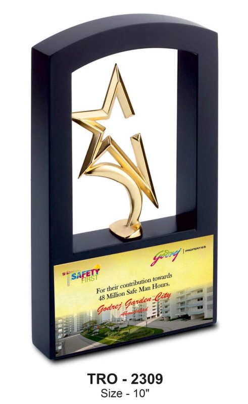 Twin Star Excellence Trophy