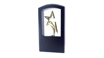 Twin Star Excellence Trophy – Celebrating Collaborative...