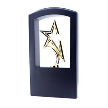 Twin Star Excellence Trophy – Celebrating Collaborative...