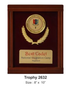 Velvet Frame Cadet Award – Premium Defence & Youth Recognition Plaque
