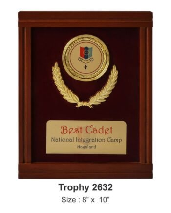 Velvet Frame Cadet Award – Premium Defence...
