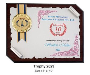 Wavy Edge Plaque with Medallion – Elegant Anniversary & Team Recognition Award