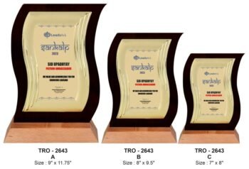 Wavy Metal Plate Trophy – Elegant Corporate...