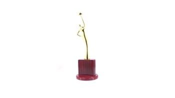 Womens Achievement Trophy – Celebrate Leadership, Innovation...