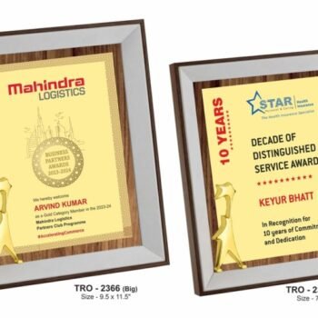 Wooden Frame with Star Figurine – Recognition...