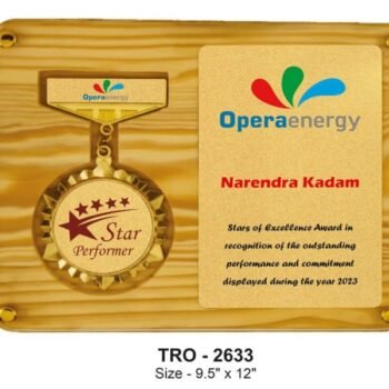 Woodgrain Star Performer Plaque – Premium Performance...