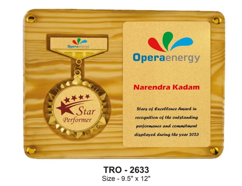 Woodgrain Star Performer Plaque – Premium Performance & Recognition Award